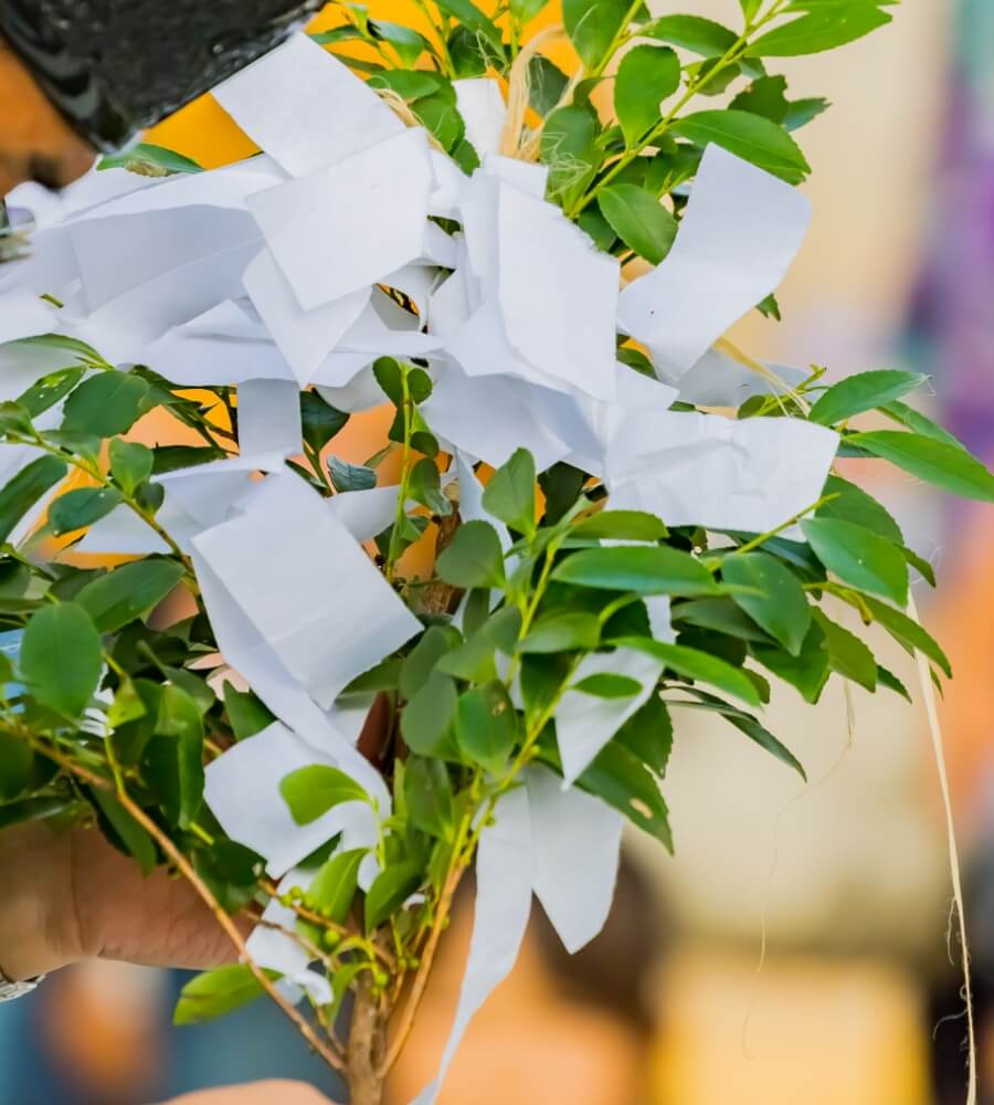 健康維持の水分補給