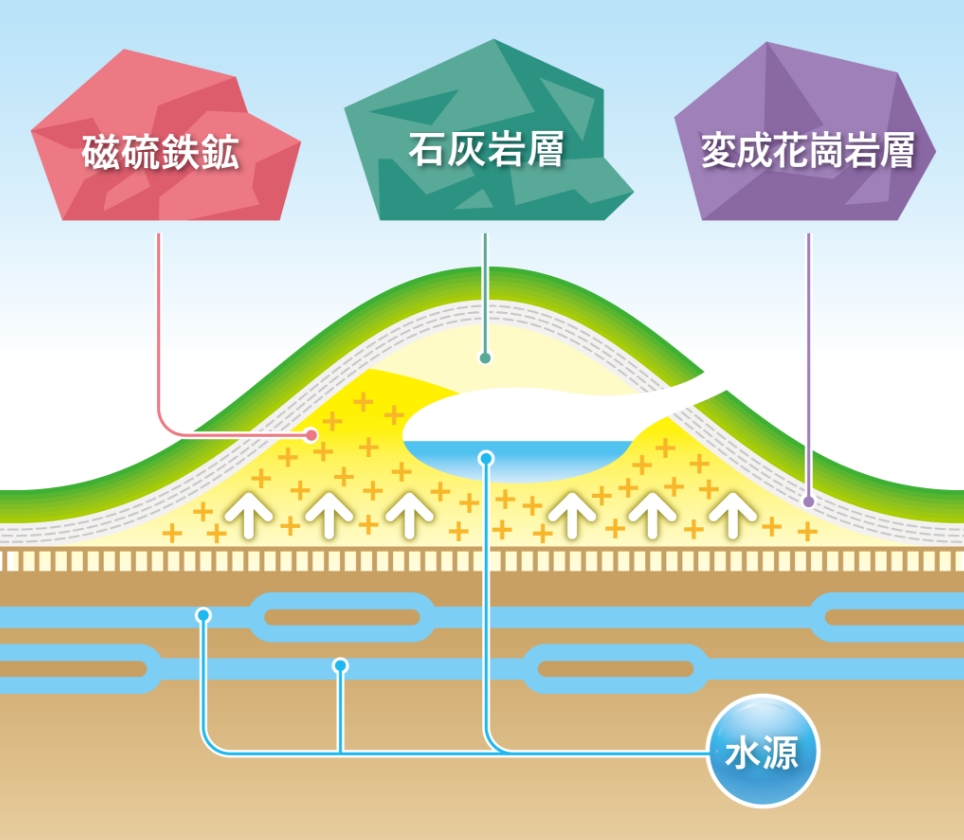 健康維持の水分補給